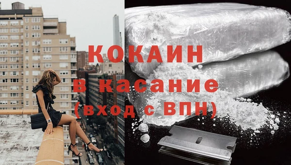 ГАЛЛЮЦИНОГЕННЫЕ ГРИБЫ Заводоуковск