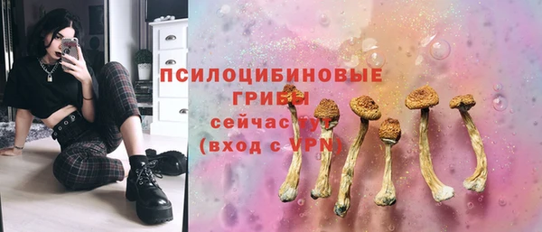 ГАЛЛЮЦИНОГЕННЫЕ ГРИБЫ Заводоуковск