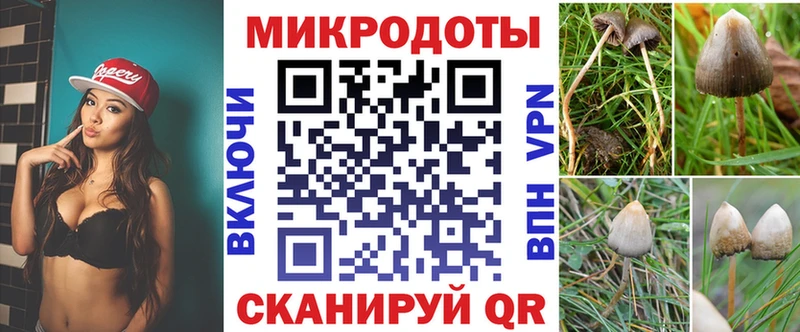 Купить  Завитинск  Галлюциногенные грибы ЛСД 